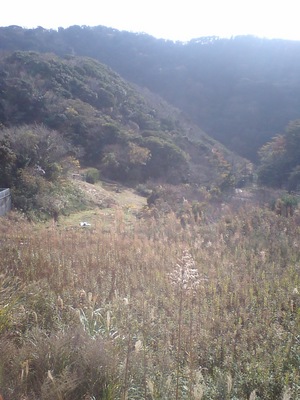 CA370015.JPG