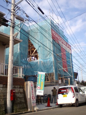 CA370079.JPG