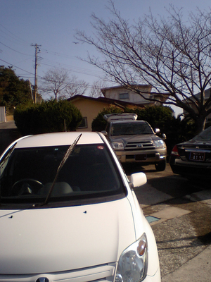 CA370099.jpg