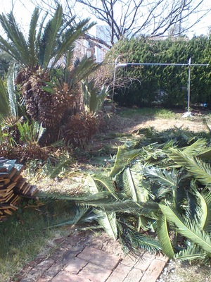CA370100.JPG