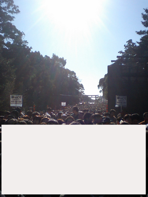 CA370106.jpg