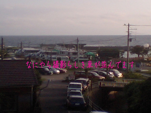 CA37011112.jpg