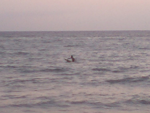 CA370116.jpg