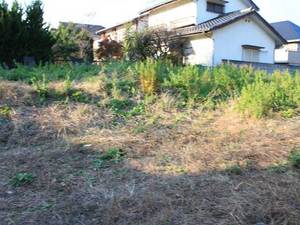 IMG_4248.jpg