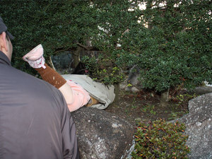 IMG_4624.jpg