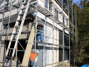 IMG_4716.jpg