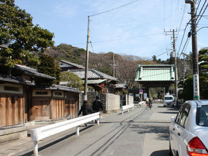 IMG_5564.jpg