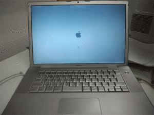 PAP_0586.gif
