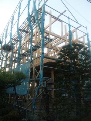 SH3E0158.JPG