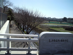 PAP_0945.jpg