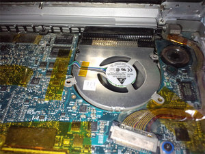 CA3F0112.jpg