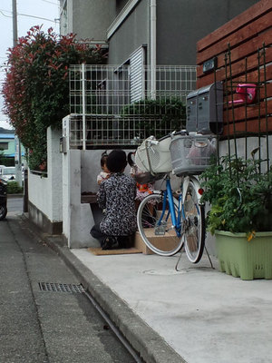 PAP_0592.jpg