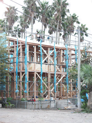 palm-trees-house.jpg
