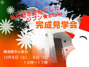 2012.12.8.9.jpg