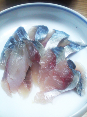 ooita-sekisaba-turi11.jpg