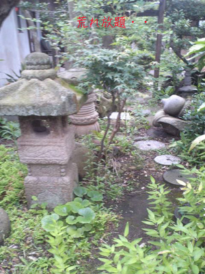 shounan-hudousan-tochi2.jpg