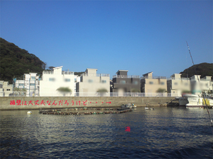 yokosukashi-shinchiku-ikkodate-bunjyou.jpg