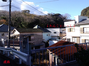 miurashi-sakaemachi-ohikiwatashi-w.jpg