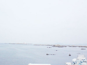 hayama-douro-jyokou-chuui.jpg