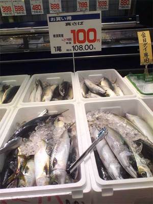 yokosuka-eve-sava.jpg
