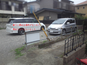 yokohamashi-seyaku-tochisagashi-y.jpg