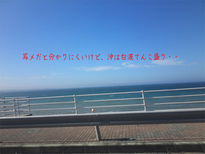 hayama-abuduri-kihada.jpg