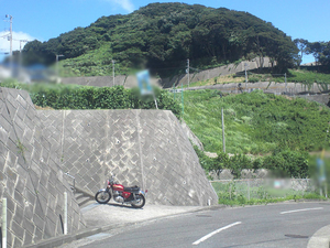 yokosukashi-nobi-s-tochi.jpg