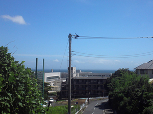 yokosukashi-nobi-s-tochi2.jpg