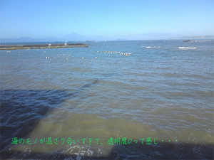 hayama-umi-nochi-ginkou.jpg