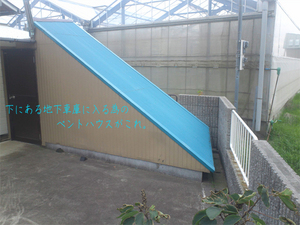 miurashi-misaki-koajiro-s-tatekae-kaishuu.jpg