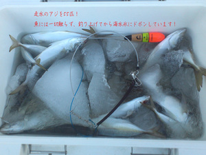 nakao-kenchiku-2015-shidou.jpg