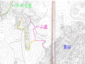hazakura-zushi-yamamichi.jpg