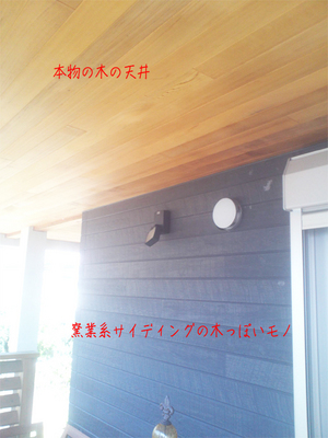 yokohamashi-kanazawaku-a-shitami.jpg