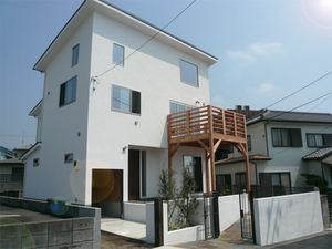 miurashi-minamishitaura-Miura-Sea-Life!!-ohikiwatashi.jpg