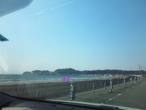 kamakura-lunch-osusume.jpg