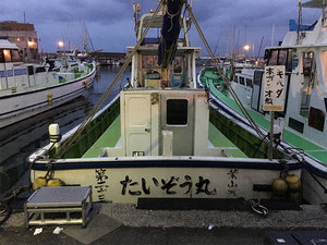 hayama-maguro-katsuo-taizoumaru.jpg