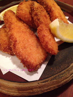 zushi-huurabou-izakaya-osusume.jpg
