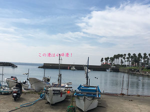 zushi-kotsubo-yuuki-shokudou-katsuo-aburidon.jpg