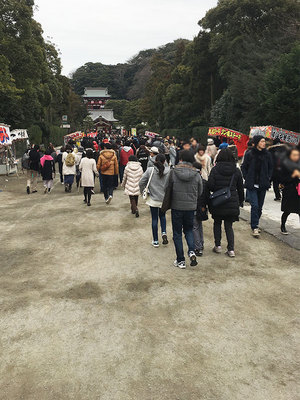 kamakura-hachimanguu-2017.jpg
