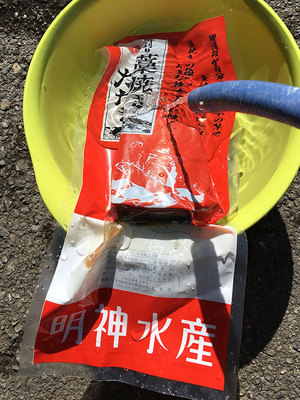 katsuo-myoujin-suisan.jpg