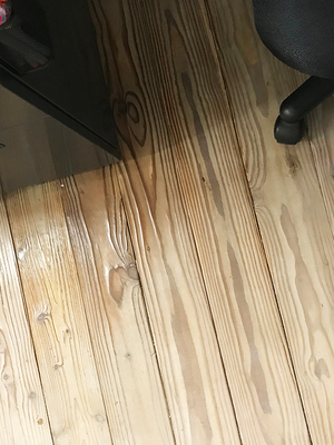 muku-floor-osumo-koukyuu.jpg
