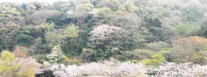yokosuka-yama-keshiki-heigai.jpg