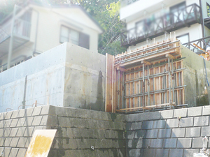 yokosukashi-nagase-morinisumuie-jyoutou2.jpg
