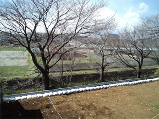 PAP_0943.jpg