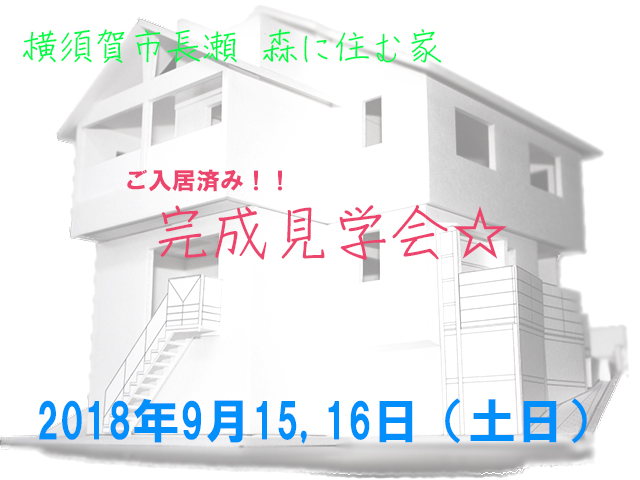 湘南•鎌倉に家を建てる!建築のプロが選んだ家とは?!